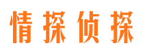 长江新区市婚外情调查